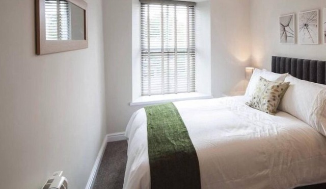 1 Bedroom Apartment (BAE & Hospital)