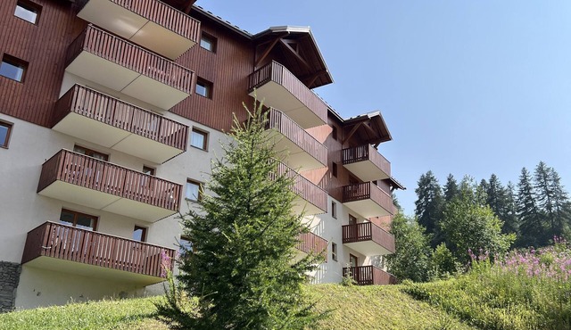 1 Bedroom Apartment in Puy-Saint-Vincent