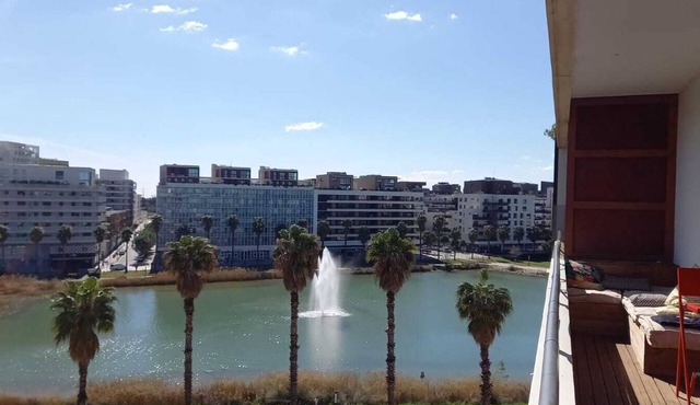 1 Bedroom Apartment in Montpellier