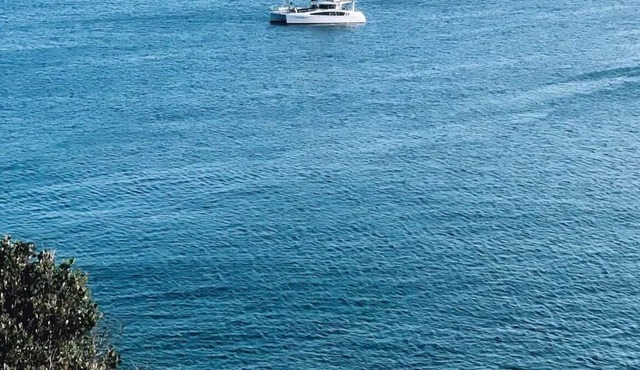 1 bedroom apartment in Fairlight - 100m from beach