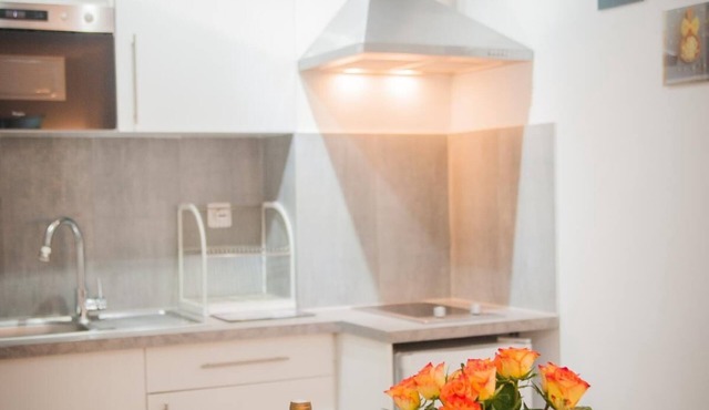 1 Bedroom Apartment in Nice