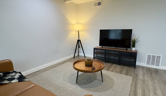 1 Bedroom Apartment in the Heart of Downtown Dallas