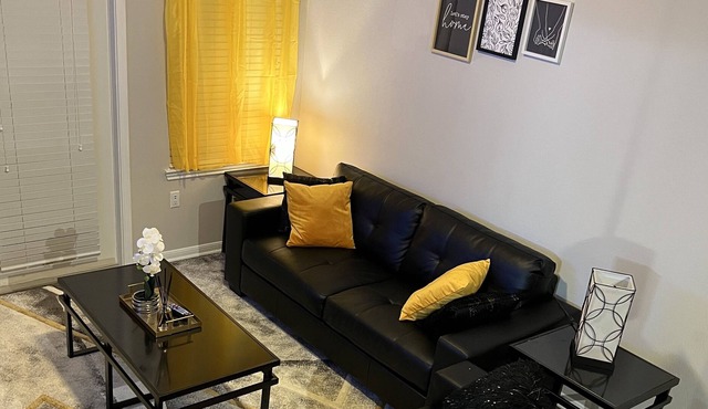 1 bedroom apartment in medical center 5 minutes from the NRG stadium