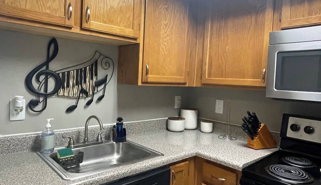 1-bedroom apt in Downtown Nashville. Mins walk to Broadway, Bridgestone & Nissan
