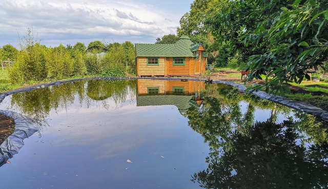 1 bedroom awesome home in Rosporden