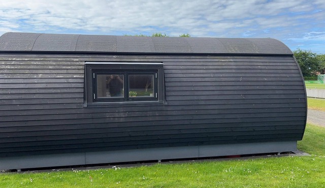 1 bedroom beautiful home in Skjern