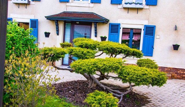 1 Bedroom Bed & Breakfast In La Baffe