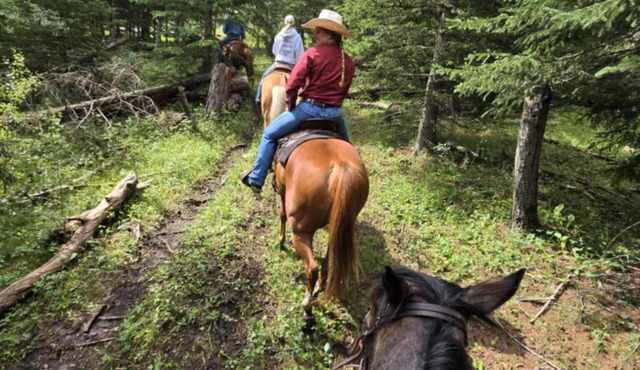 1 bedroom cabin in the heart of The Black Hill close to Hill City SD