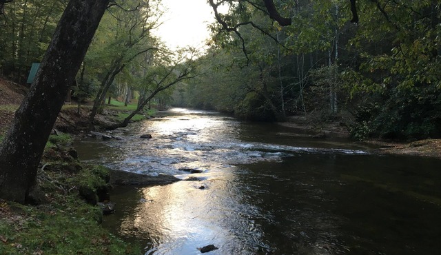 1-bedroom cabin just 23 minutes from Stone Mountain State Park