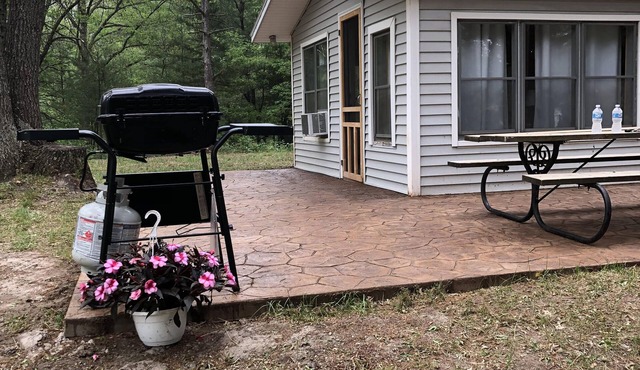 1-bedroom cabin near Huron-Manistee National Forest