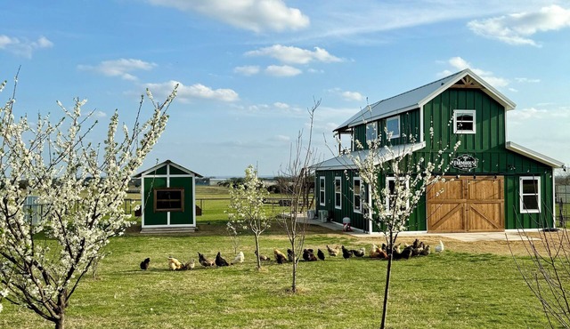 1-bedroom cabin with WiFi, King Bed, & AC on a Scottish Highland Farm