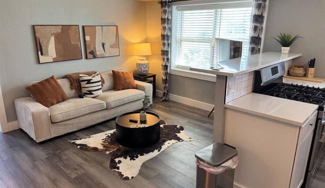 1 Bedroom Condo on the Plaza 41