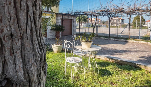 1 bedroom cozy apartment in Finida