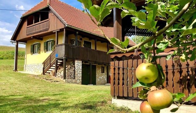 1 bedroom cozy home in Duga Resa