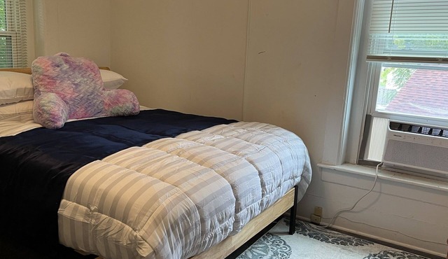 1 Bedroom cozy unit in Oswego near SUNY and Hospital