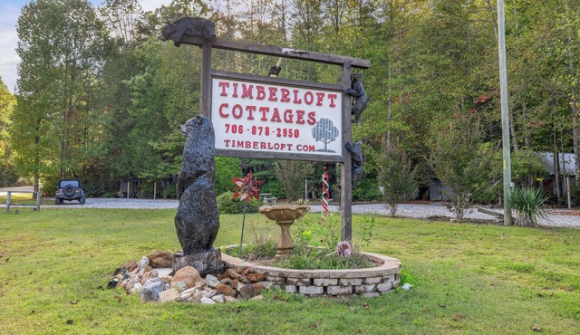 1 Bedroom Cozy Cabin 4 miles to Downtown Helen! Fireplace, Kitchen, Fire Pit!