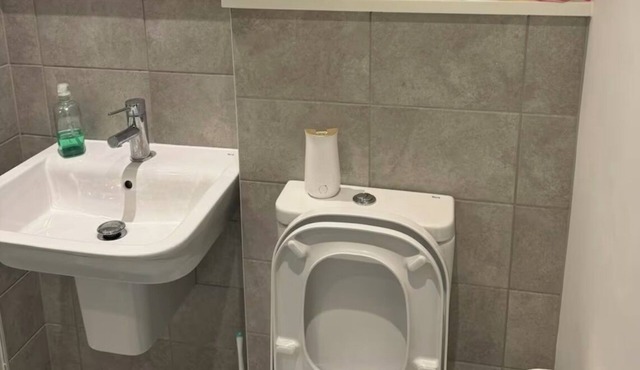 1 bedroom flat in barking