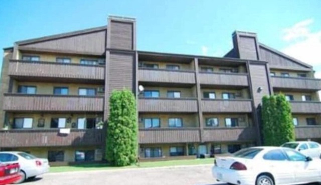 1 Bedroom Fully Equipped Condo in River Heights