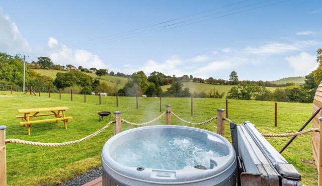 1 bedroom accommodation in Llanfair Caereinion