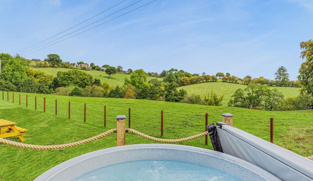 1 bedroom accommodation in Llanfair Caereinion