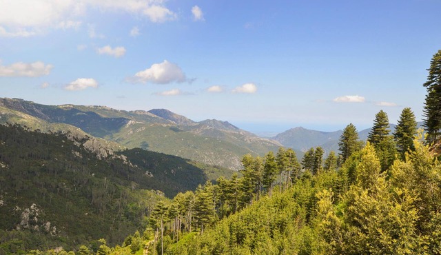 1 bedroom lovely apartment in Ghisoni