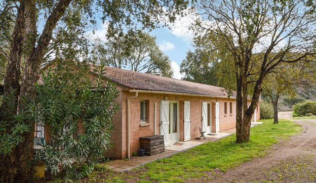 1 bedroom nice home in Vignale