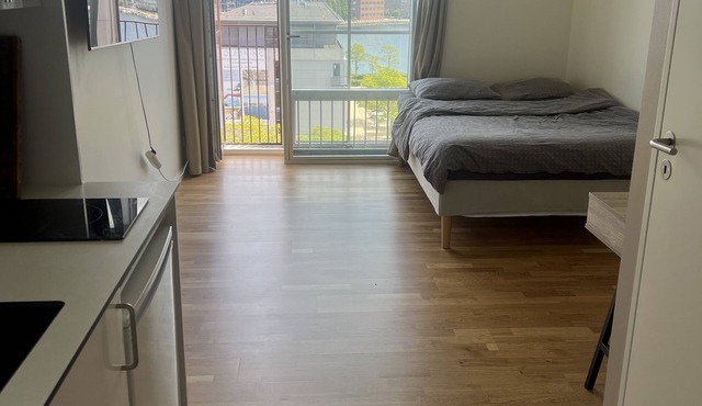 1 Bedroom Property in Copenhagen
