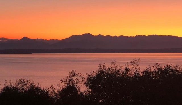 1-Bedroom Seaview Guesthouse on Seattle Luxury Estate with Views of Olympic Mountains