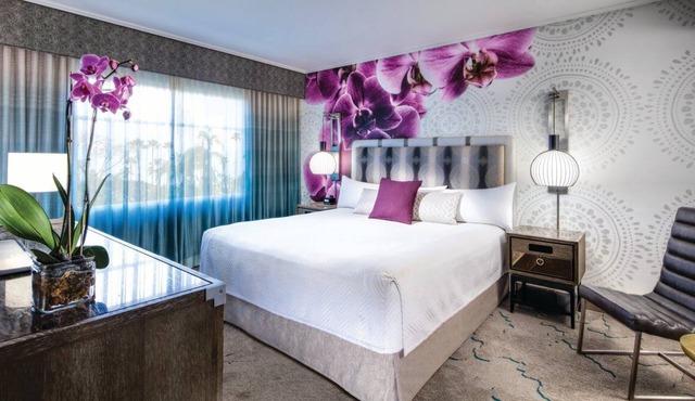 1-Bedroom Suite at a 4⭐️ Hotel