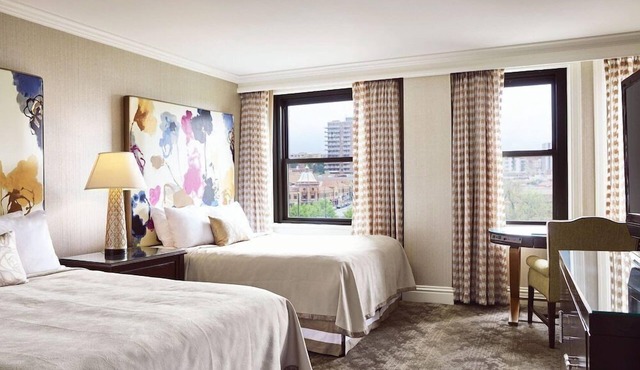 1-Bedroom Suite at a 4⭐️ Hotel