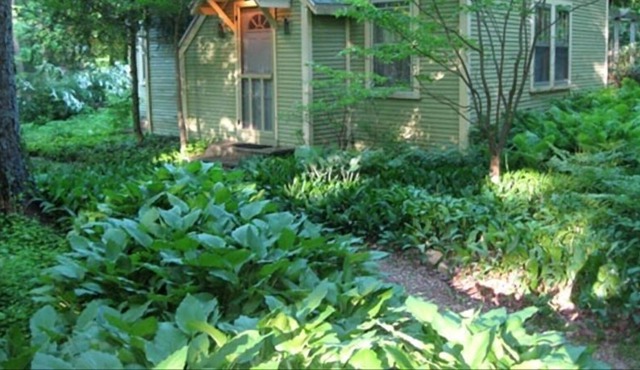 1 Block from Lake Michigan, Traditional Michigan Cottage