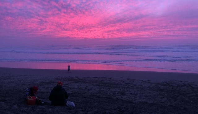 1 block to Golden Gate Park! 10 min to the beach!