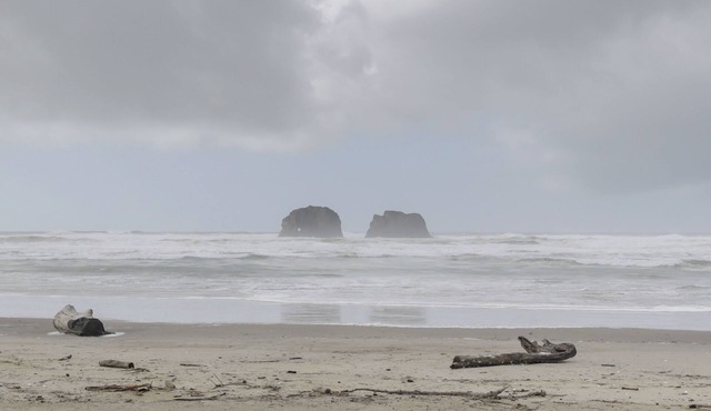 1 Block to Twin Rocks Beach: Pet-Friendly Cottage