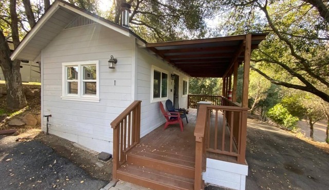 # 1. Bluebird's Nest - Studio Cabin W/Fireplace