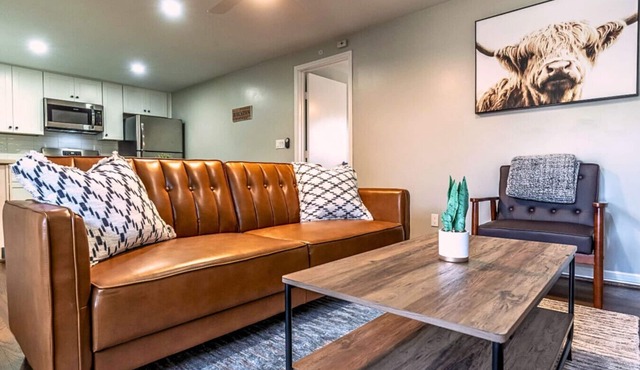 1 BR Apt Walks to Menil Collection with Free Parking