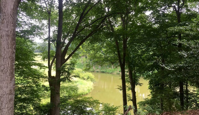 1 BR Kingsmill Resort Condo minutes to Colonial Williamsburg!