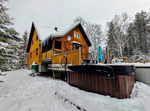 1- Chalet en bois rond Bouleau