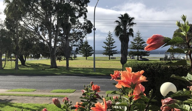 1 Commodore Batehaven