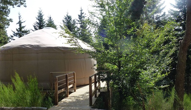 1 contemporary comfortable yurt located in a wood terrace with a view.