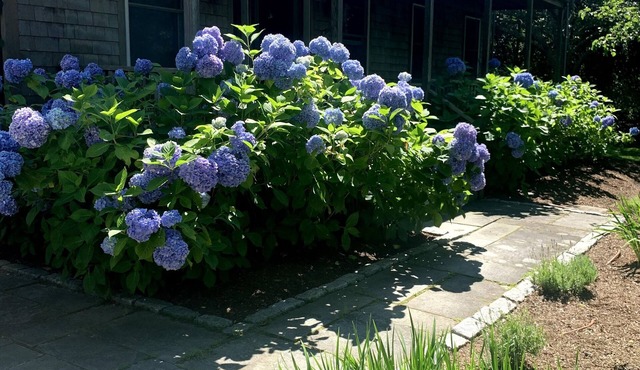 1 JULY WEEK OPEN + CAR FERRY: 5BR Oasis w/Pool & 10 Bikes