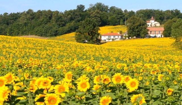 1,Les Renaudières, Chalais. gîte with private heated pool