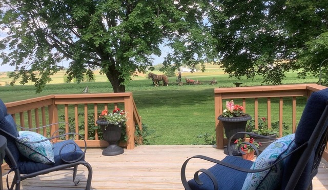 1 level-3 Bed Cottage