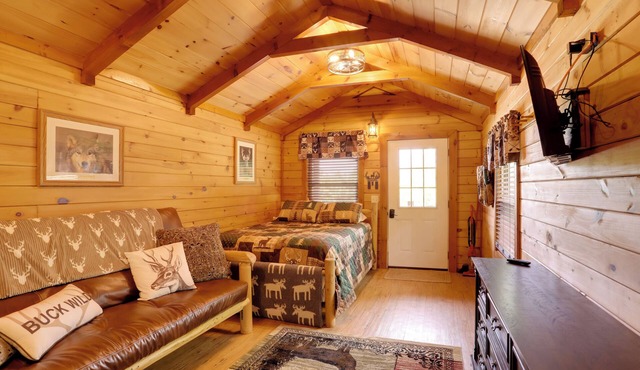 1 Mi to Current River: Cozy Studio Cabin!