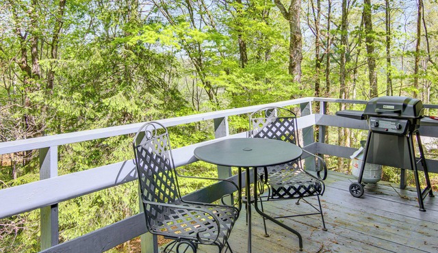 1 Mi to Pisgah Nat’l Forest: Wooded Haven w/Deck