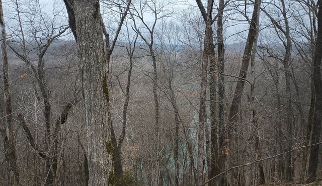 >1 Mile from Monroe Lake, 24 minutes away from Indiana University