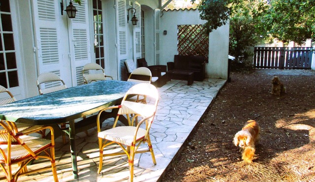 1 minute away, delights of the sea!