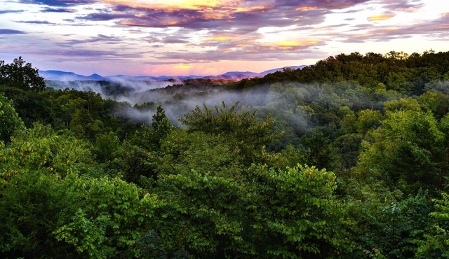 1 of A Kind Log Cabin, Incredible 360 Views, Completely Private, HotTub, Firepit