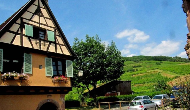 1-pied des Vosges, Plein Sud, Coeur du Vignoble, Confortable, Calme,wifi Gratuit