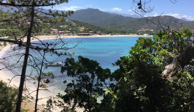 1 Residence Playa del Oro- Favone 3- Three-room apartment on the first floor