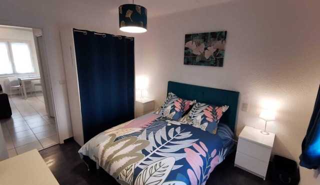 1-room apartment for spa guests and vacationers